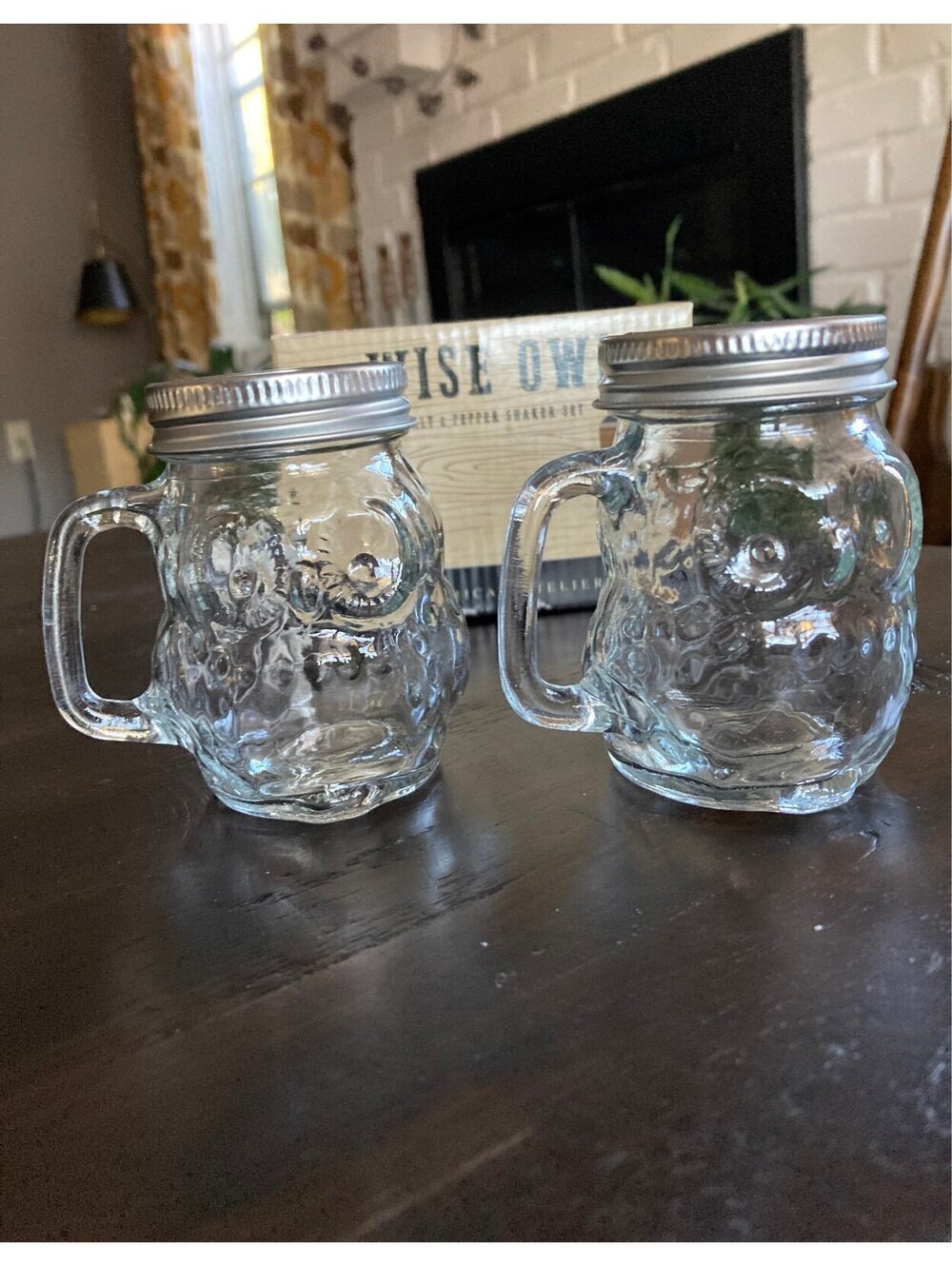 Owls Glass Salt & Pepper Shakers New in Box